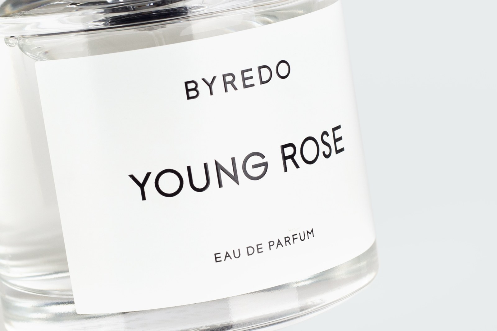 YOUNG ROSE