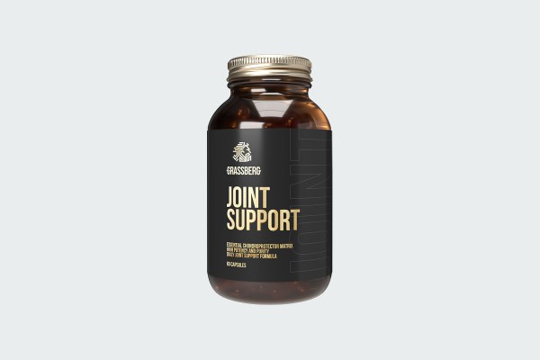 JOINT SUPPORT