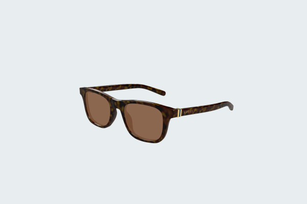 GG1671S-006 53