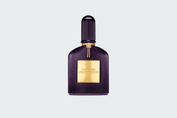 VELVET ORCHID