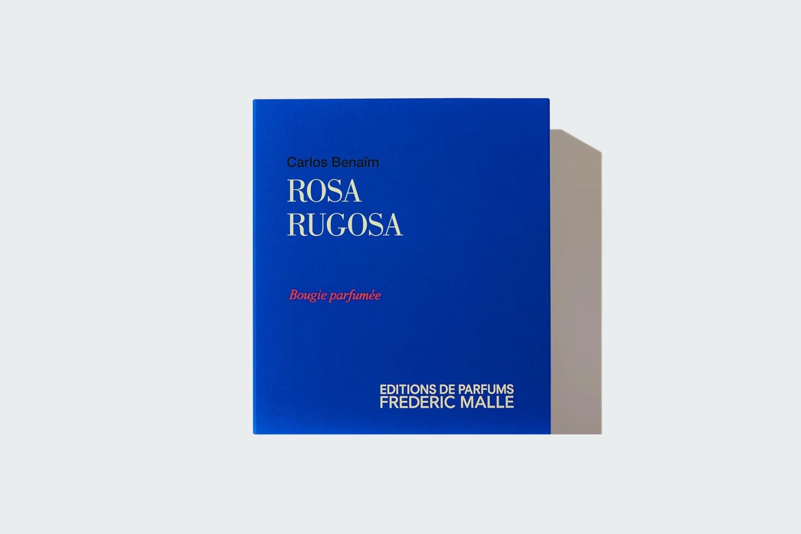 ROSA RUGOSA