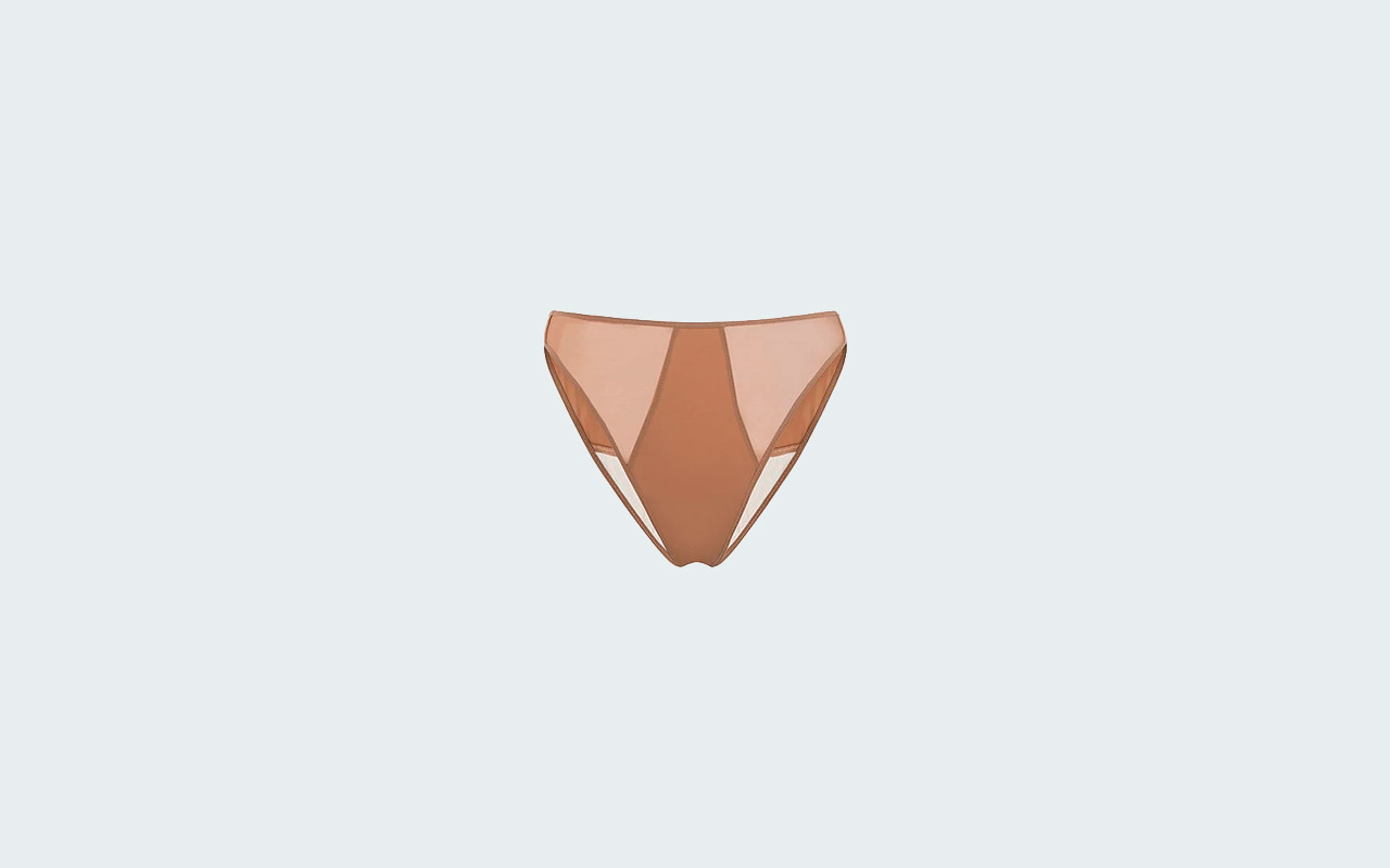 SHEER OPAQUE BRIEF