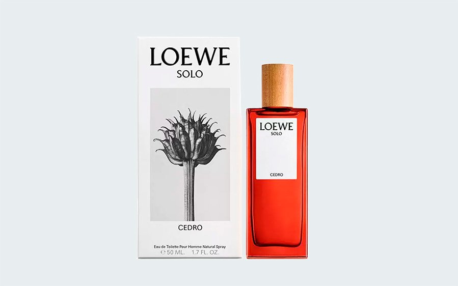 SOLO CEDRO 