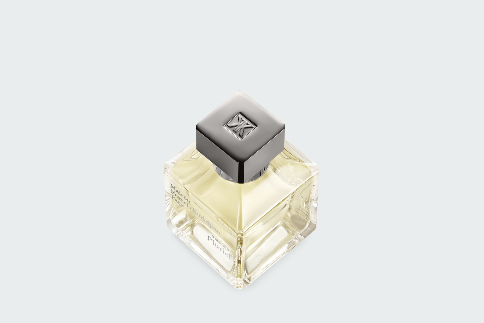 PLURIEL MASCULIN 