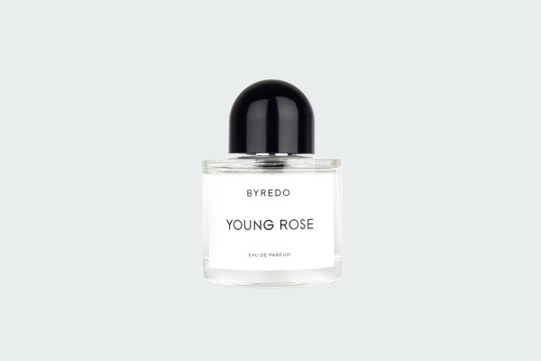 YOUNG ROSE