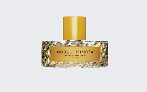 MODEST MIMOSA