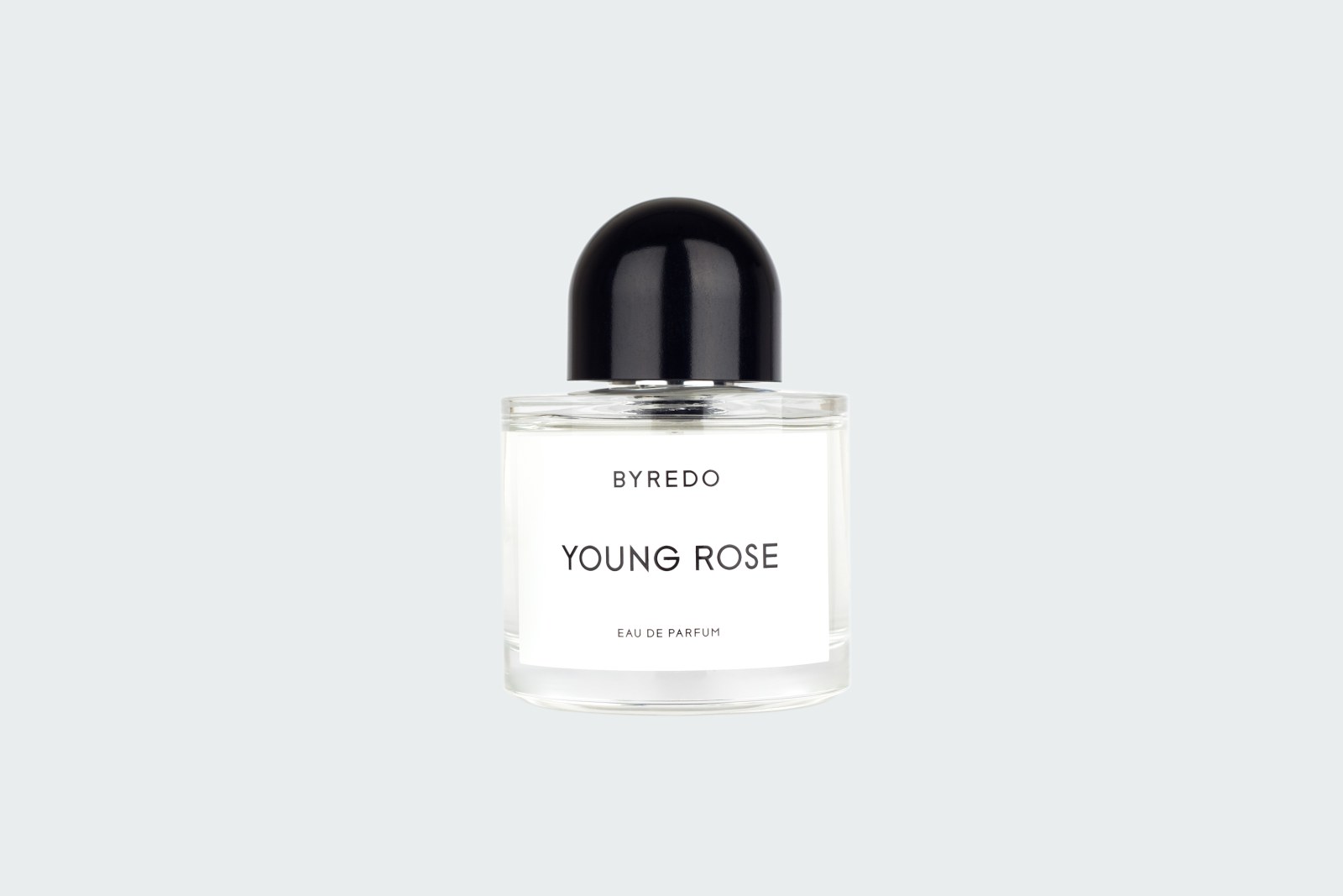 YOUNG ROSE