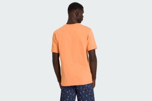 LIVING SHIRTS