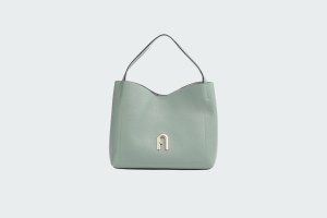 PRIMULA L HOBO