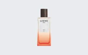 SOLO ELLA ELIXIR 