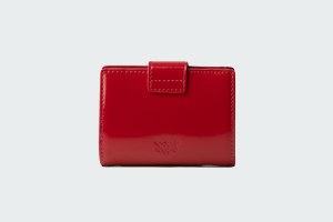 WALLET PELLE SPAZZOLATA LUCIDA