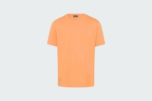 LIVING SHIRTS