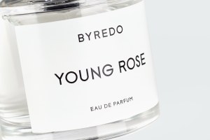 YOUNG ROSE