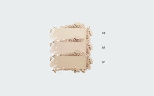 TOUCH UP POWDER