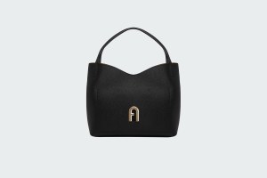 PRIMULA L HOBO