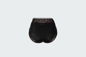 CARITA HIGH WAISTED BRIEFS