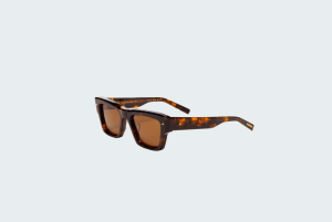XXII, Brown Tortoise