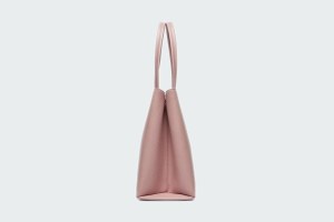 1927 L TOTE