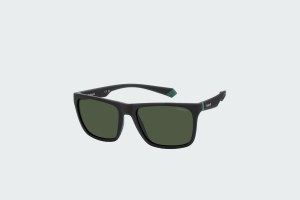 PLD 2141/S, 3OL