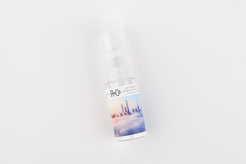 SKYLINE DRY SHAMPOO POWDER
