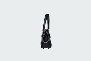 DIANA MICRO COAL