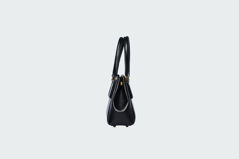DIANA MICRO COAL