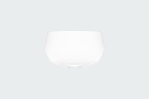 COTTON SEAMLESS