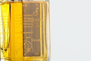 XOCOATL