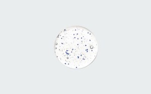 MICROCAPSULES SHAMPOO