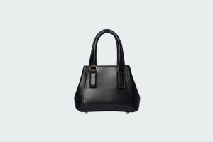 DIANA MICRO COAL