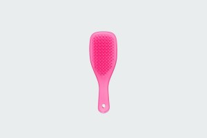 THE WET DETANGLER MINI