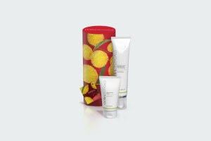 MATTIFYING DUO