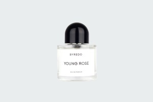YOUNG ROSE